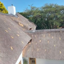 WhatsApp Image 2025-05-28 at 16.25.07