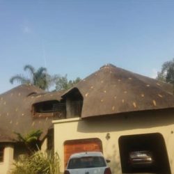 WhatsApp Image 2025-05-28 at 16.25.14