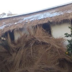 WhatsApp Image 2025-05-28 at 16.25.15 (3)