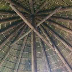 WhatsApp Image 2025-05-28 at 16.25.16 (1)