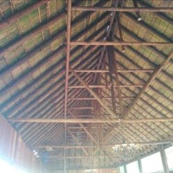 WhatsApp Image 2025-05-28 at 16.25.16