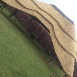 WhatsApp Image 2025-05-28 at 16.25.17 (1)