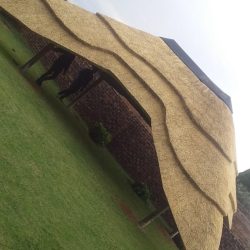 WhatsApp Image 2025-05-28 at 16.25.17 (2)