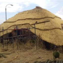 WhatsApp Image 2025-05-28 at 16.25.17 (3)