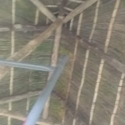 WhatsApp Image 2025-05-28 at 16.25.17