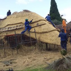 WhatsApp Image 2025-05-28 at 16.25.18