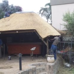 WhatsApp Image 2025-05-28 at 16.25.19 (1)