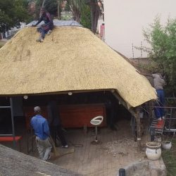 WhatsApp Image 2025-05-28 at 16.25.19 (2)