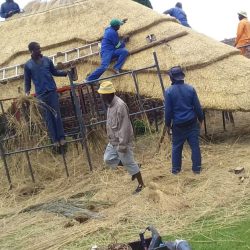 WhatsApp Image 2025-05-28 at 16.25.19