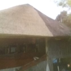 WhatsApp Image 2025-05-28 at 16.25.21 (1)