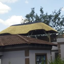 WhatsApp Image 2025-05-28 at 16.25.21 (2)