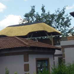 WhatsApp Image 2025-05-28 at 16.25.22